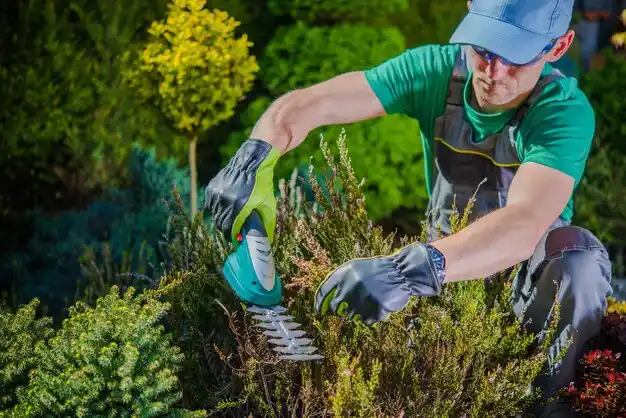 landscaping services Comstock Northwest
